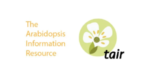 TAIR - Arabidopsis Information Resource