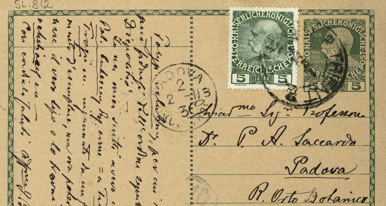 I documenti di Pier Andrea Saccardo (1845-1920)