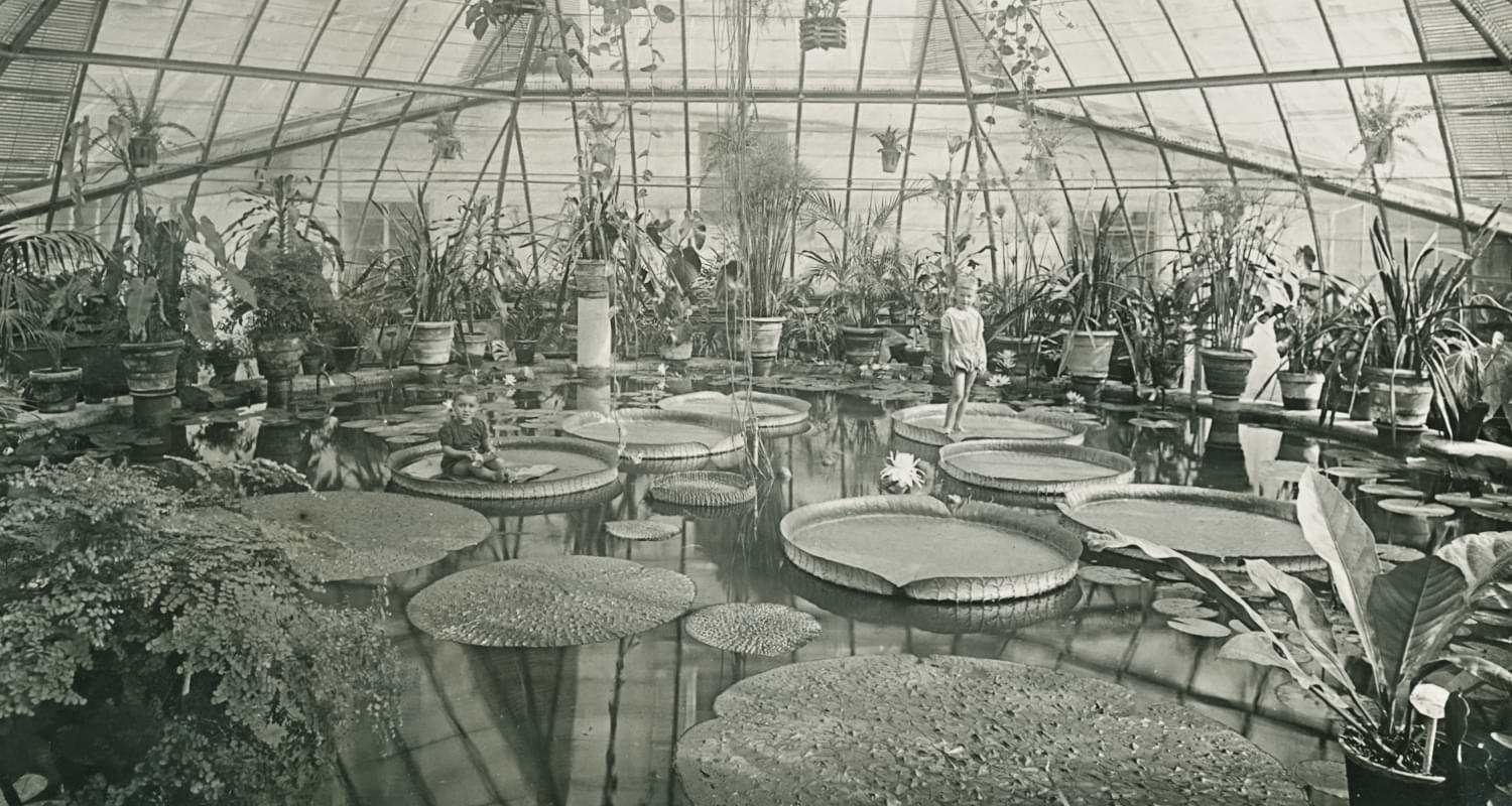 Gallery of the Botanical Gardens