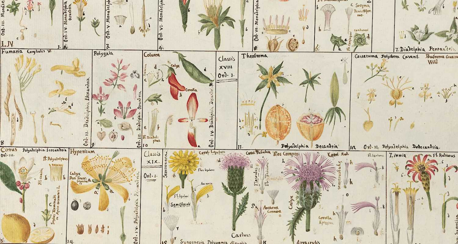 Didactics in the Botanical Garden at the turn of the 18th and 19th centuries