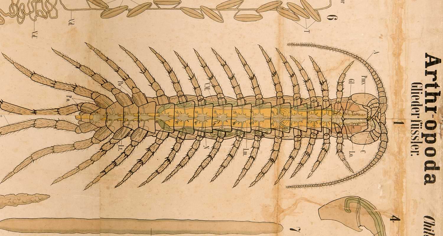 Scientific wallcharts