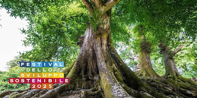 Le biblioteche del Polo Umanistico per il Festival dello Sviluppo Sostenibile 2025