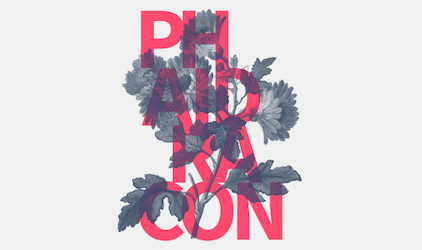 PHAIDRAcon'25 arriva a Padova